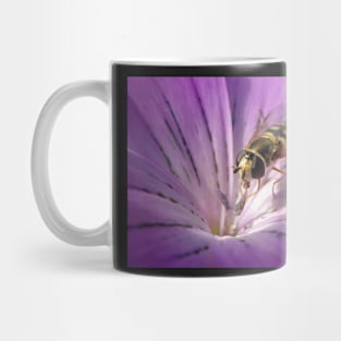 Corncockle Hoverfly Mug